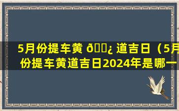 5月份提车黄 🌿 道吉日（5月份提车黄道吉日2024年是哪一天）